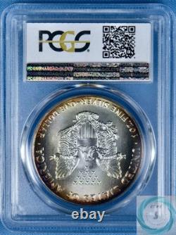 1992 1 oz Silver Eagle PCGS MS69 Mega Monster Toner