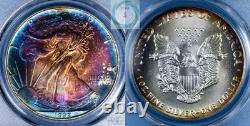 1992 1 oz Silver Eagle PCGS MS69 Mega Monster Toner