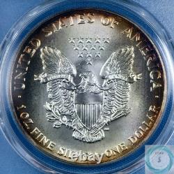 1992 1 oz Silver Eagle PCGS MS69 Mega Monster Toner