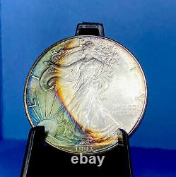 1993 $1 American Silver Eagle Uncirculated Monster Toned CHOICE MS++