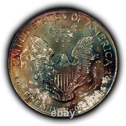 1993 1 oz Silver American Eagle PQ Rainbow Toning BU SKU-E3459