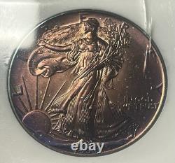 1993 American Silver Eagle 1 oz. Fantastic Toning PCI