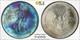 1993 PCGS UNC Detail TONED 1 oz Silver American Eagle SAE $1 US Coin #51918A