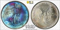 1993 PCGS UNC Detail TONED 1 oz Silver American Eagle SAE $1 US Coin #51918A