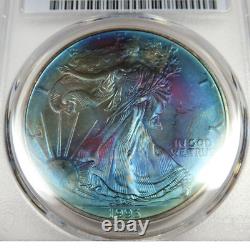1993 PCGS UNC Detail TONED 1 oz Silver American Eagle SAE $1 US Coin #51918A