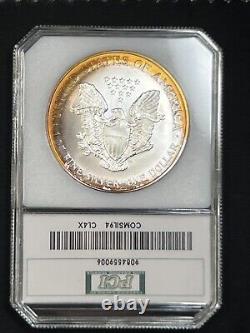 1994 American Silver Eagle PCI Rainbow Bands Toned