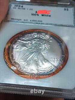 1994 American Silver Eagle PCI Rainbow Bands Toned Key Date