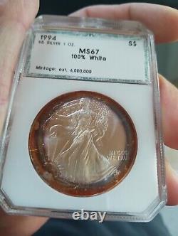 1994 American Silver Eagle PCI Rainbow Bands Toned Key Date