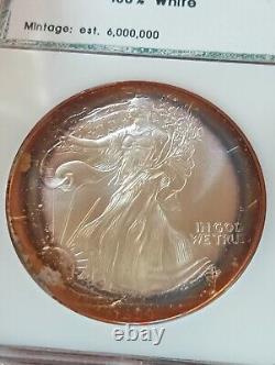 1994 American Silver Eagle PCI Rainbow Bands Toned Key Date