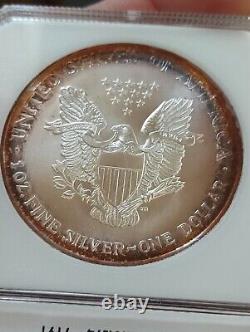 1994 American Silver Eagle PCI Rainbow Bands Toned Key Date