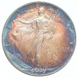 1995 American Silver Eagle Toned 1557