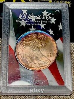 1995 SILVER EAGLE Better Date (Rainbow Toned)