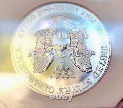 1995 Silver Eagle Flawless Gem BU + Frosty White Business Strike Near PL