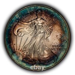 1996 1 oz Silver American Eagle PQ Rainbow Target Toning BU Key Date E3460