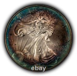 1996 1 oz Silver American Eagle PQ Rainbow Target Toning BU Key Date E3460