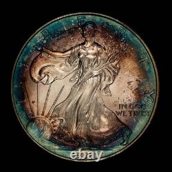 1996 1 oz Silver American Eagle PQ Rainbow Target Toning BU Key Date E3460