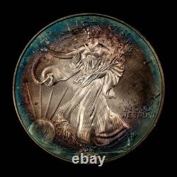 1996 1 oz Silver American Eagle PQ Rainbow Target Toning BU Key Date E3460