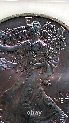 1997 1oz AMERICAN SILVER EAGLE Heavily Toned One Of A Kind Coin