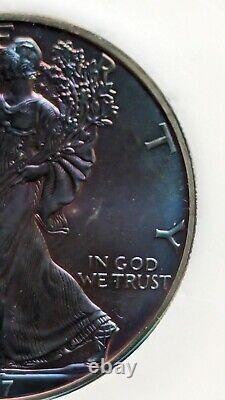 1997 1oz AMERICAN SILVER EAGLE Heavily Toned One Of A Kind Coin