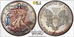 1998 ASE American Silver Eagle $1 PCGS MS66 UNBELIEVABLE PCI Rainbow Toning