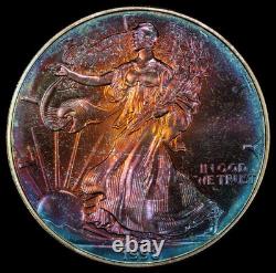 1998 American Silver Eagle Ase Pcgs Unc Detail At Qc Gorgeous Toned Trueview