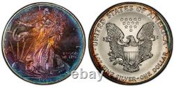 1998 American Silver Eagle Ase Pcgs Unc Detail At Qc Gorgeous Toned Trueview