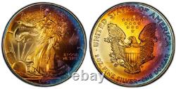 1998 American Silver Eagle Ase Pcgs Unc Detail Qc Gorgeous Toned Trueview