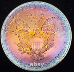 1998 Colorful Natural Toned American Silver Eagle ASE