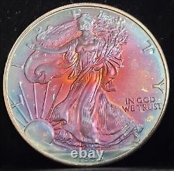 1998 Colorful Natural Toned American Silver Eagle ASE