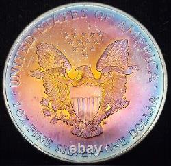 1998 Colorful Natural Toned American Silver Eagle ASE