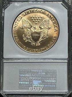 1998 Silver American Eagle Coin BU Rainbow Monster Toned 1 Oz US $1 Uncirculated