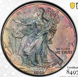 1999 $1 American Silver Eagle (Toned)