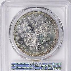1999 $1 American Silver Eagle (Toned)