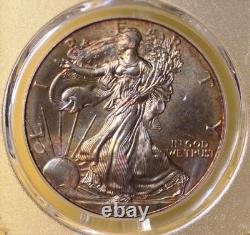 1999 American Silver Eagle PCGS 1oz. 999 MS68 Toned Toning