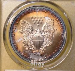 1999 American Silver Eagle PCGS 1oz. 999 MS68 Toned Toning