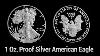 1 Oz Proof Silver American Eagle