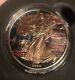 1oz Silver Dollar American Eagle Colorized Gold Guilded #24 Of Only 50 Made