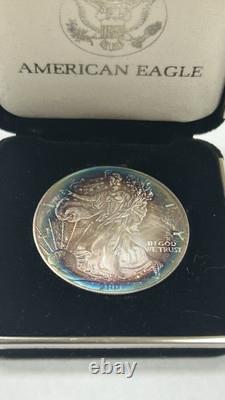 2001 AMERICAN SILVER EAGLE BU 1 OZ SILVER TONING TONED COIN (Raw13070) (AO)