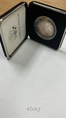 2001 AMERICAN SILVER EAGLE BU 1 OZ SILVER TONING TONED COIN (Raw13070) (AO)