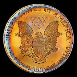 2001 American Silver Eagle PCGS MS69 Stunning Rainbow Toning