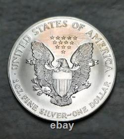 2001 Unc American Silver Eagle 1 Troy Oz. 999 Fine Silver Beautiful Tone