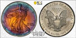 2002 American Silver Eagle Ase Pcgs Unc Detail Qc Rainbow Toned Trueview