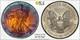 2002 American Silver Eagle Ase Pcgs Unc Detail Qc Rainbow Toned Trueview