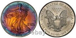 2002 American Silver Eagle Ase Pcgs Unc Detail Qc Rainbow Toned Trueview