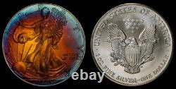 2002 American Silver Eagle Ase Pcgs Unc Detail Qc Rainbow Toned Trueview