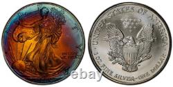 2002 American Silver Eagle Ase Pcgs Unc Detail Qc Rainbow Toned Trueview