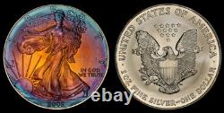 2002 American Silver Eagle Ase Pcgs Unc Detail Qc Rainbow Toned Trueview