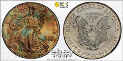 2004 American Silver Eagle Ase Pcgs At Unc Detail Qc Rainbow Toned Trueview