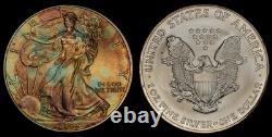 2004 American Silver Eagle Ase Pcgs At Unc Detail Qc Rainbow Toned Trueview