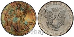 2004 American Silver Eagle Ase Pcgs At Unc Detail Qc Rainbow Toned Trueview
